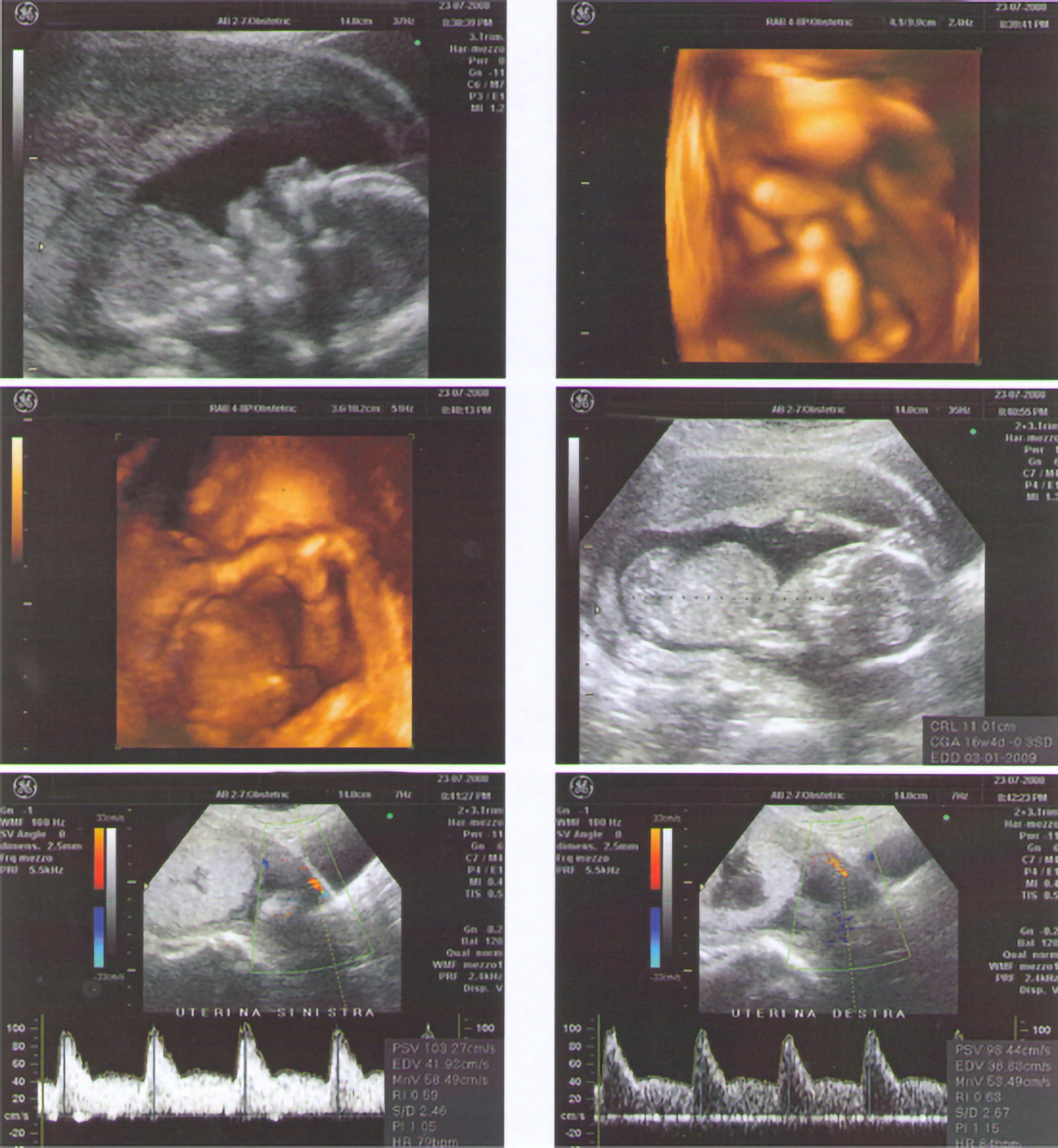 Gallery Eco Francescobarletta It